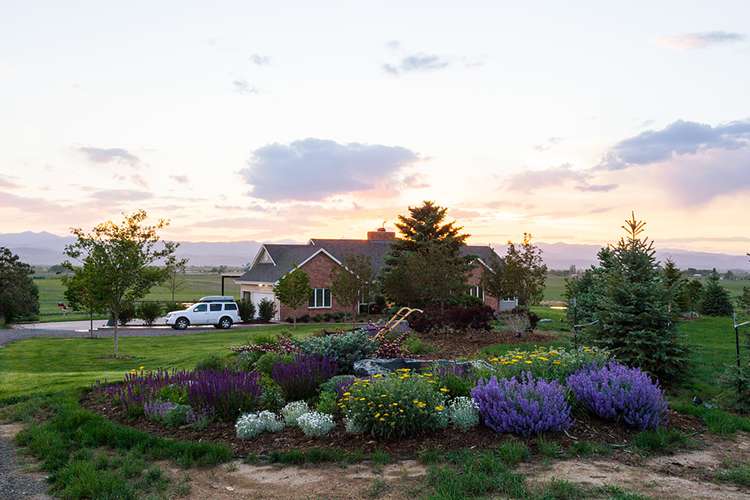 colourful flowers landscaping J&S Landscape Boulder