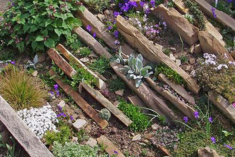 Easy to maintain crevice garden