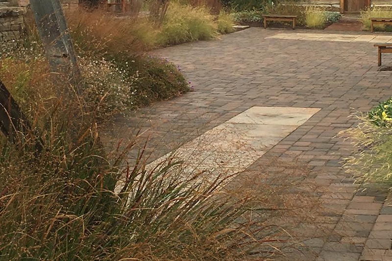 fall landscape in Denver