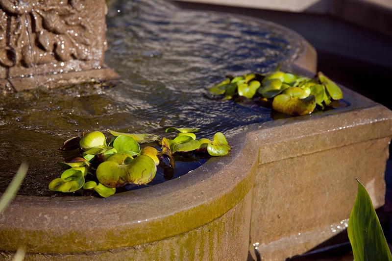 fountain and water features by J&S Landscape