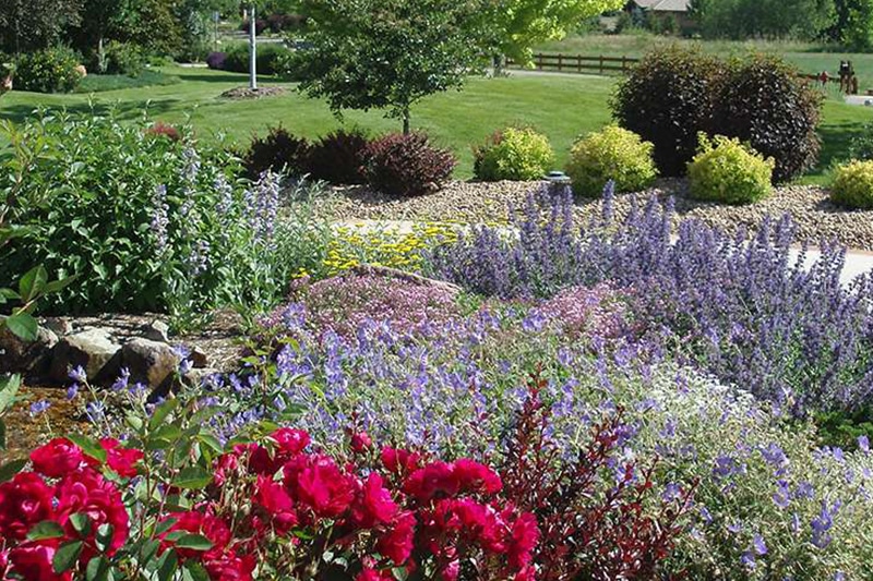 landscape design with low maintenance plants