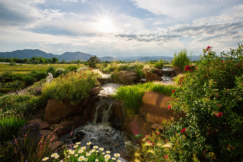 pond and water fall design