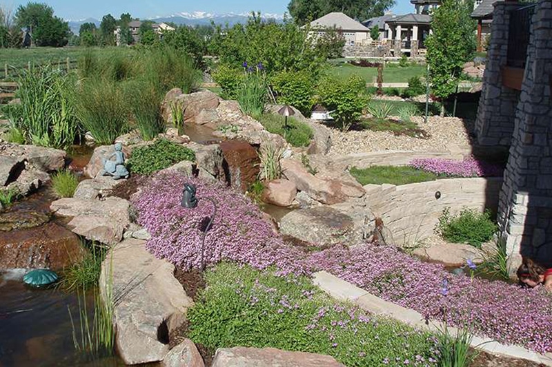 water feature and landscaping