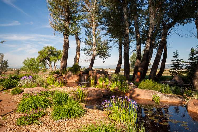 outdoor oasis J&S Landscape Boulder