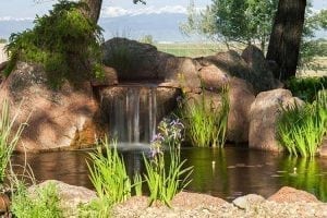 Keeping Ponds and Water Features Debris Free J&S Landscape Boulder