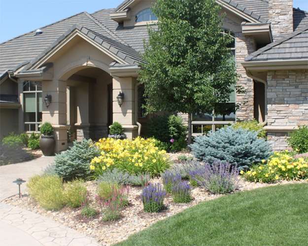 Add Native Plants to a Landscape J&S Landscape Boulder