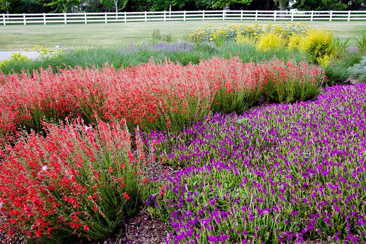 flower bed J&S Landscape Boulder