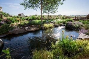 How to Hire the Right Landscape Contractor for the Job