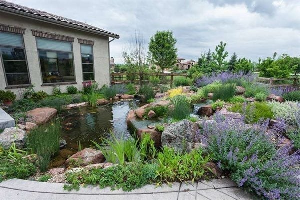 pond and plants J&S Landscape Boulder