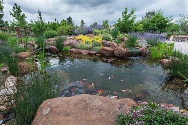 swl5 - J and S Landscape Koi Pond Basics Filtration Depth and Care in Broomfield J and S Landscape
